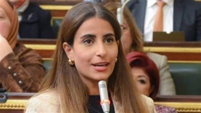 خارجية النواب مشيدة بلقاء السيسي وجراهام: يؤكد دور مصر المحوري في المنطقة