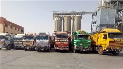 اكتمال السعة التخزينية لصومعة 