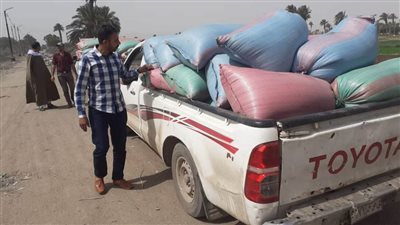 دون تصريح.. ضبط 3 أطنان من القمح متجهة إلى خارج محافظة المنيا 