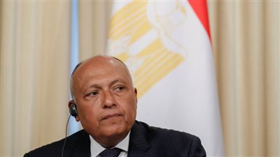 شكري ووزير خارجية قبرص يبحثان الحرب على غزة