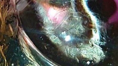 «ذكريات» أيمن مدكور في معرض فني بقاعة زياد بكير بدار الأوبرا المصرية 