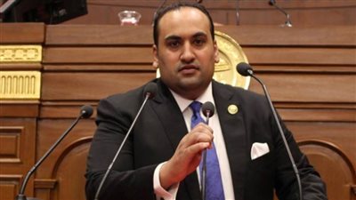نائب بالشيوخ: توجيهات السيسي لـ الحكومة الجديدة واضحة وصريحة.. والمرحلة المقبلة تحتاج لتكاتف الجميع