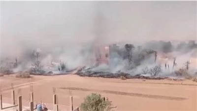 عاجل.. حريق هائل يهاجم المنازل والمزارع في الوادي الجديد