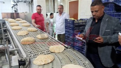 حملات تموينية على الأسواق والمحال التجارية بكفر الشيخ