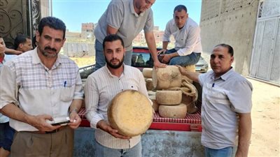 ضبط طن أقراص جبنة رومي فاسدة قبل بيعها بأسواق البحيرة  