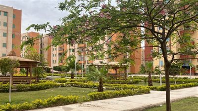 الجزار: جارٍ تنفيذ أكثر من 700 وحدة سكنية بالمبادرة الرئاسية 