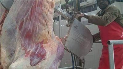 ذبح الأضاحي بالمجان في مجازر البحر الأحمر خلال عيد الأضحى