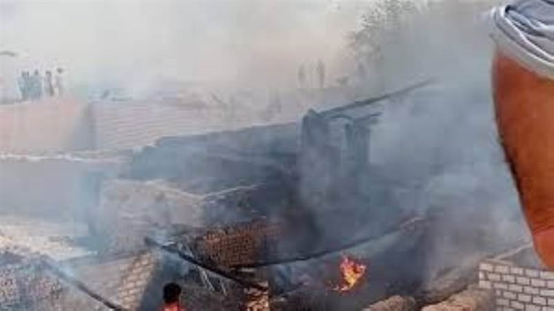 بوابة روز اليوسف