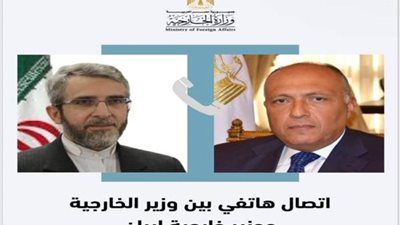 شكري ووزير خارجية إيران بالوكالة يتفقان على الحفاظ على وتيرة التشاور بشأن مسار العلاقات الثنائية