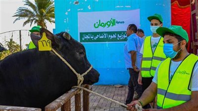 84 ألف كيلو لحوم أضاحي للأسر الأكثر احتياجًا بقرى ونجوع بني سويف