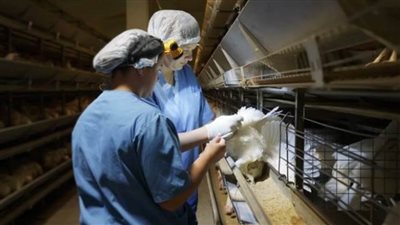 100 مليون مريض كل عام في 