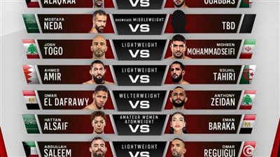 منافسة مصرية جديدة بدوري المقاتلين المحترفين