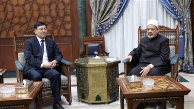 شيخ الأزهر: نرفض الاندماج السلبي الذي يحاول طمس الهوية الدينية للمسلمين في مجتمعاتهم