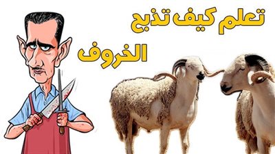 7 شروط لضمان طعم لحم الأضحية قبل الذبح.. تعرف عليها