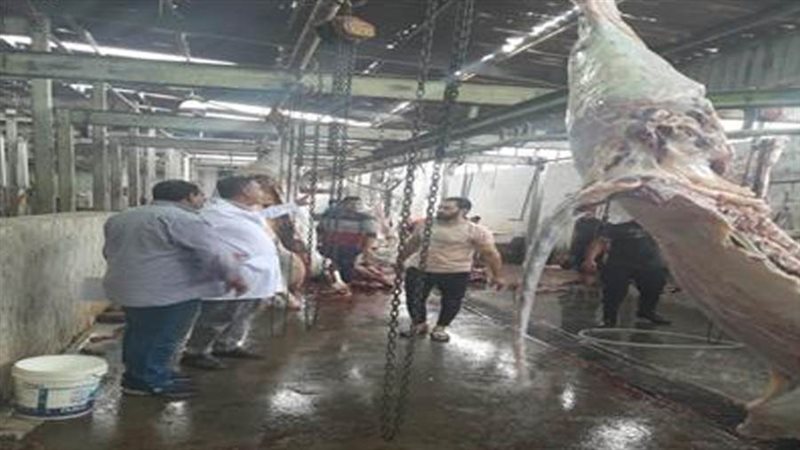 استعداد المجازر لعيد