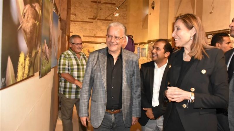 بوابة روز اليوسف