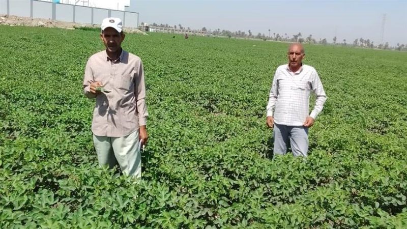 جانب من أعمال إدارة