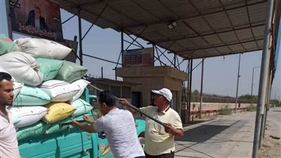 توريد 227 ألف طن قمح محلي مطابق للمواصفات بشون وصوامع وهناجر البحيرة