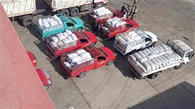 توريد 470 ألف طن قمح بصوامع الوادي الجديد 