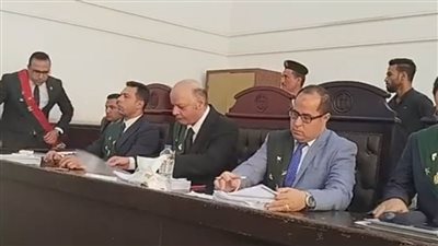 بسبب صور عارية.. جنايات الفيوم تعاقب قاتل شقيقته بالسجن المؤبد 25 عامًا