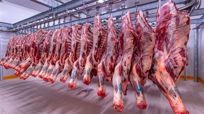 التموين.. ضخ 150 طنًا يوميًا من اللحوم الطازجة بالمجمعات الاستهلاكية والمنافذ المتحركة