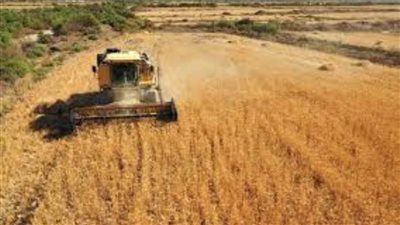 رئيس هيئة التنمية الصعيد تستهدف التوسع في استصلاح الأراضي واستخدام طرق ري حديثة 