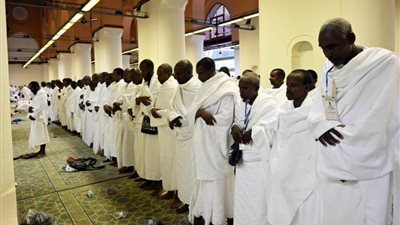 388 كادرًا من منسوبي الشؤون الإسلامية بالمدينة المنورة يقدمون خدمات إرشادية لضيوف الرحمن