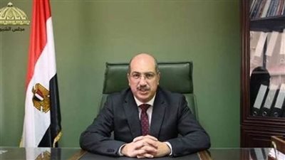 النائب إيهاب وهبة يطالب الحكومة بتوفير الأجهزة والأدوات اللازمة للطلاب لتعلم الذكاء الاصطناعي والتكنولوجيا