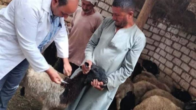 بروتوكول تعاون للذبح