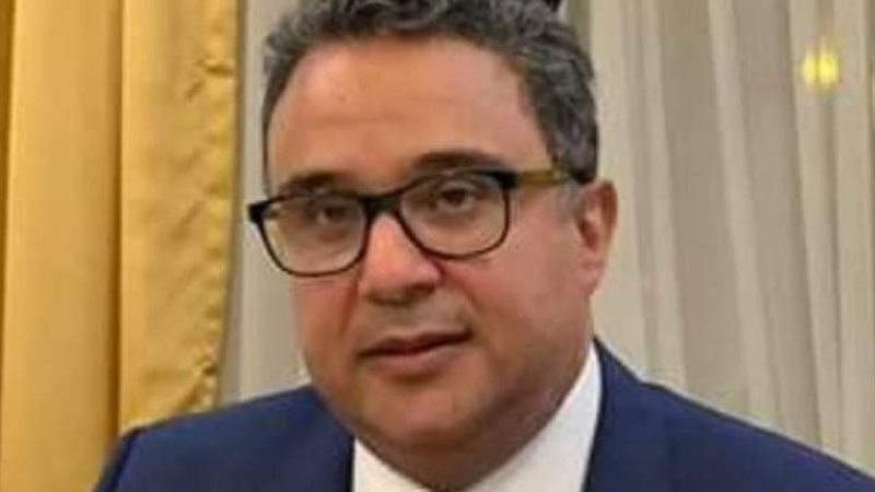 سفير مصر بفيينا