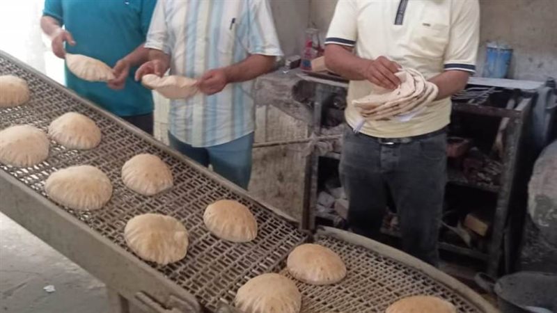 حملة تموينينة للرقابة