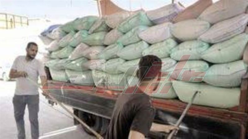 توريد القمح