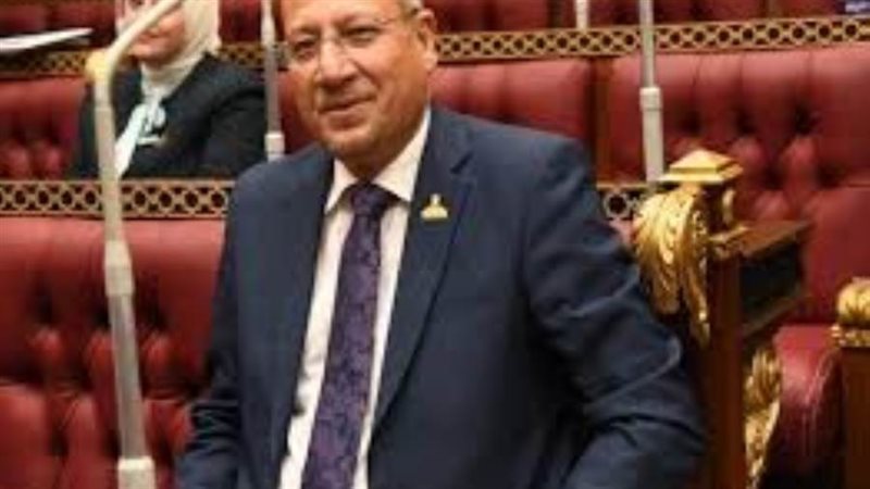 النائب عمرو عكاشة
