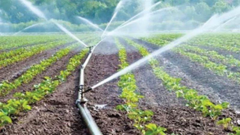 الإكتفاء الذاتى وتقليل