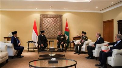 العاهل الأردني يؤكد أهمية تضافر الجهود لتنسيق إيصال المساعدات الإنسانية إلى غزة