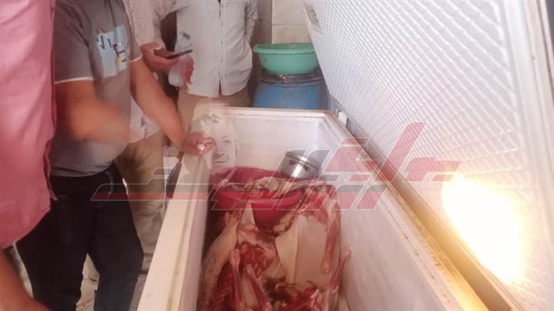 لحوم فاسدة بمطروح