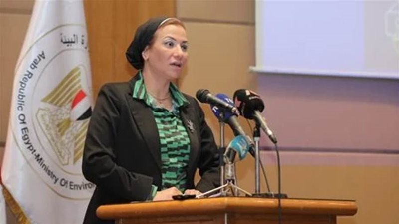 الدكتورة ياسمين فؤاد