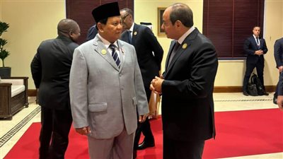 الرئيس السيسي يلتقي نظيره الإندونيسي على هامش مؤتمر الاستجابة الإنسانية لغزة