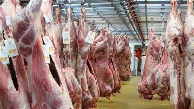 ننشر أسماء المجازر المفتوحة مجانًا خلال عيد الأضحى في الوادي الجديد