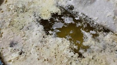 ضبط 9 أطنان مخلل تالف ونصف طن دجاج فاسد بدمياط