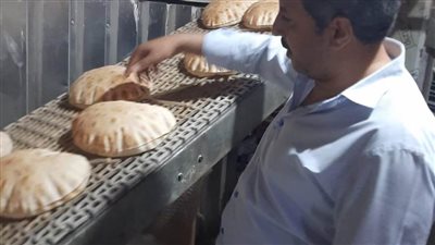 بحملات تفتيشية رقابية.. تحرير 108 محاضر لمخابز مدعمة وسياحية مخالفة بالبحيرة 