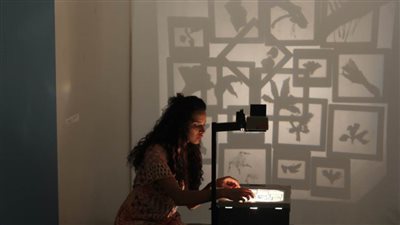 ذاكرة أشجار الأورمان في معرض فني بالمنيرة