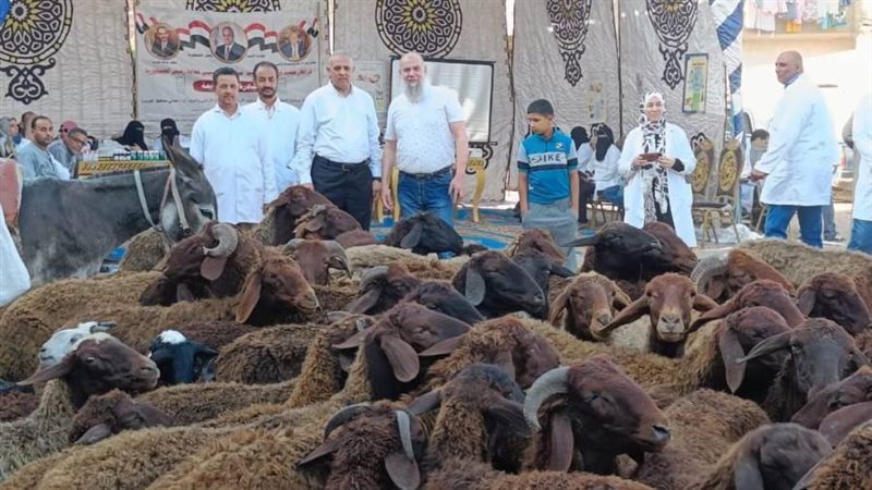 جانب من فعاليات القوافل