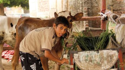 «على كل شكل ولون» فى «جبل الحبيل» و«إسنا» 