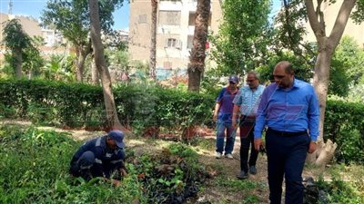 تطوير ورفع كفاءة مشتل دسوق وتزويد الحدائق العامة بالزراعات الجديدة
