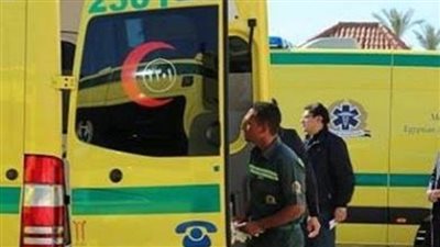 إصابة أربعة في مشاجرة بواحة الداخلة بالوادي الجديد