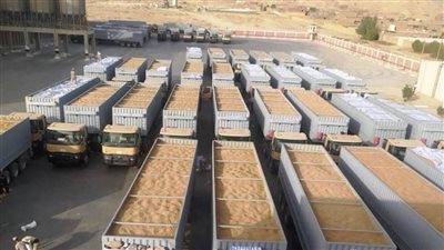 محافظ أسوان: توريد 388 ألف طن قمح وتخطى نسبة التوريد من المستهدف بنسبة 105.8 %