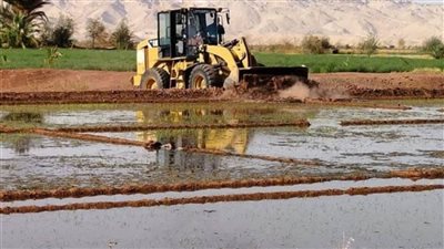 محافظ الوادي الجديد: إزالة جميع زارعات الأرز وتحرير محاضر للمخالفين