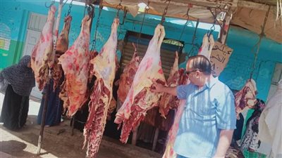 تكثيف الحملات الرقابية والتموينية على المخابز والأسواق بالمنيا استعدادًا لعيد الأضحى