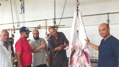 إعدام 9011 كيلو لحم غير صالحة للاستهلاك الآدمي